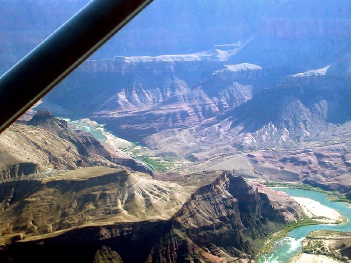 Purple Canyons Wing